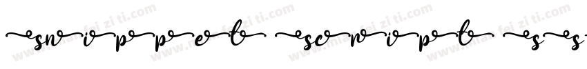 Snippet Script SS字体转换